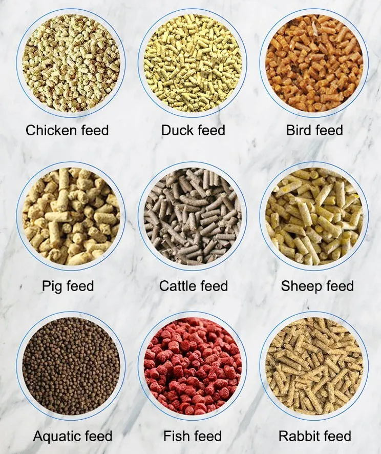 Feed production line Feed production line