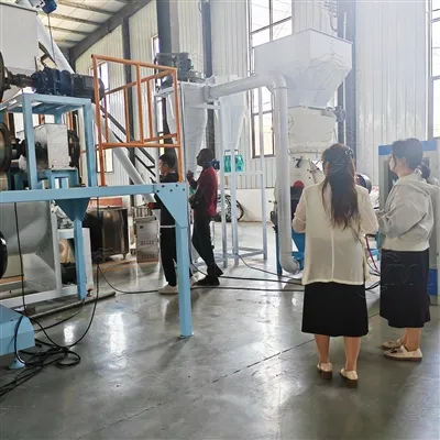 Customer Visit Twin Screw Floating Fish Food Pellet Maker Machine Test