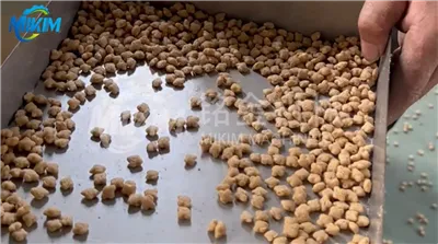 8mm Dry Type Pet Food Making Machine Test