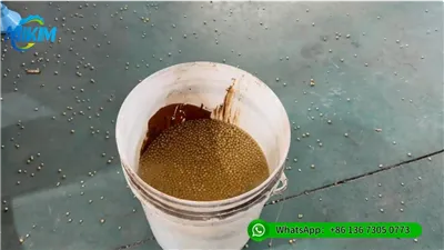 3 mm Wet-type Floating Fish Feed Extruder Machine Test